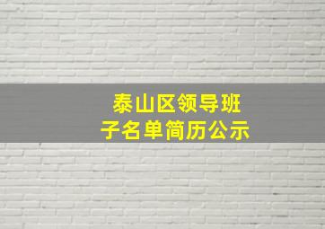 泰山区领导班子名单简历公示