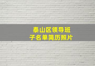 泰山区领导班子名单简历照片