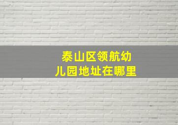 泰山区领航幼儿园地址在哪里