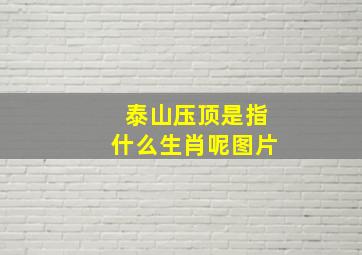 泰山压顶是指什么生肖呢图片