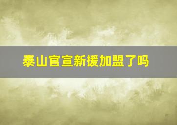 泰山官宣新援加盟了吗