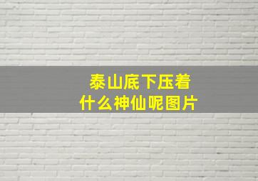 泰山底下压着什么神仙呢图片