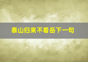 泰山归来不看岳下一句