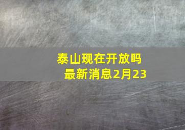 泰山现在开放吗最新消息2月23