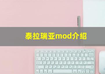 泰拉瑞亚mod介绍