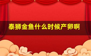 泰狮金鱼什么时候产卵啊