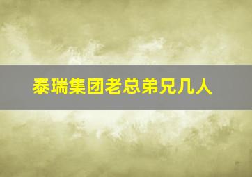 泰瑞集团老总弟兄几人