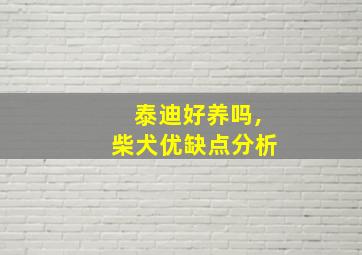 泰迪好养吗,柴犬优缺点分析