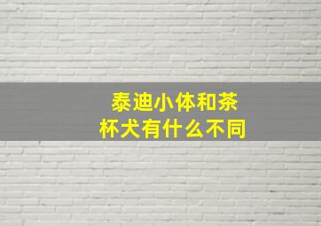 泰迪小体和茶杯犬有什么不同