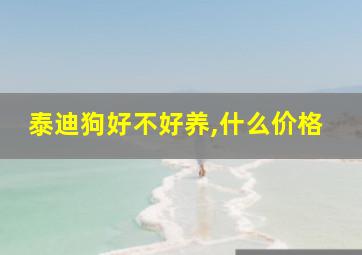 泰迪狗好不好养,什么价格