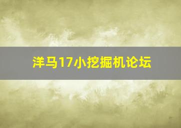 洋马17小挖掘机论坛