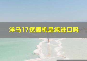 洋马17挖掘机是纯进口吗