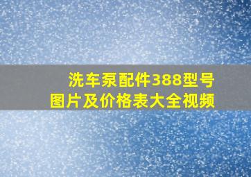 洗车泵配件388型号图片及价格表大全视频