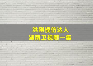 洪刚模仿达人湖南卫视哪一集