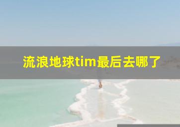 流浪地球tim最后去哪了