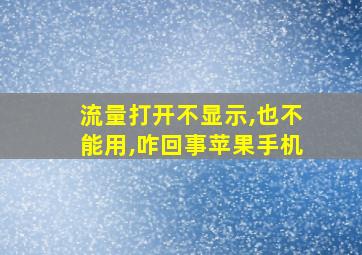 流量打开不显示,也不能用,咋回事苹果手机