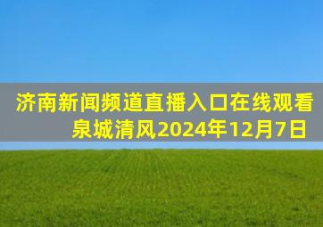 济南新闻频道直播入口在线观看泉城清风2024年12月7日