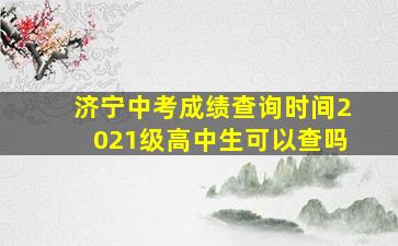 济宁中考成绩查询时间2021级高中生可以查吗