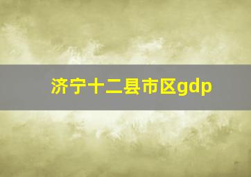 济宁十二县市区gdp