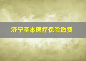 济宁基本医疗保险缴费