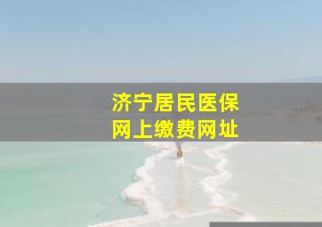 济宁居民医保网上缴费网址