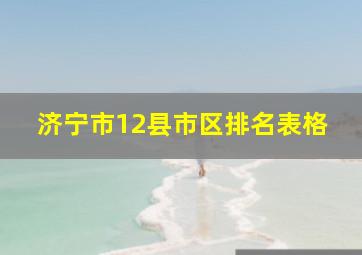 济宁市12县市区排名表格