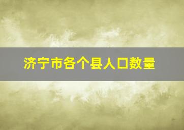 济宁市各个县人口数量