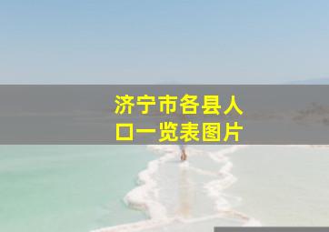 济宁市各县人口一览表图片