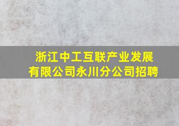 浙江中工互联产业发展有限公司永川分公司招聘