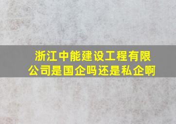 浙江中能建设工程有限公司是国企吗还是私企啊