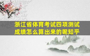 浙江省体育考试四项测试成绩怎么算出来的呢知乎