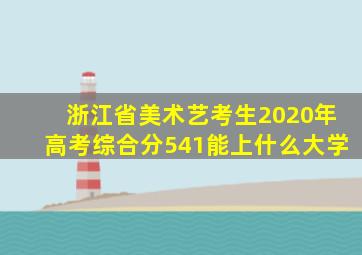 浙江省美术艺考生2020年高考综合分541能上什么大学