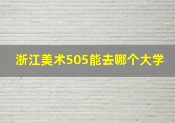 浙江美术505能去哪个大学