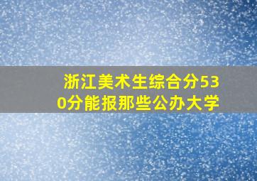 浙江美术生综合分530分能报那些公办大学