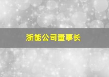 浙能公司董事长