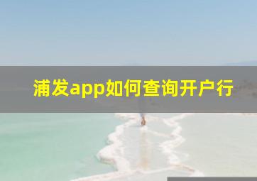 浦发app如何查询开户行