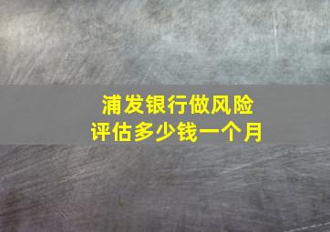 浦发银行做风险评估多少钱一个月