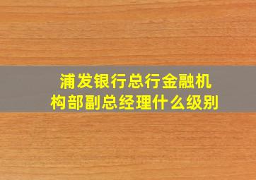 浦发银行总行金融机构部副总经理什么级别