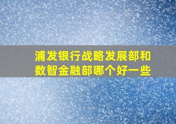 浦发银行战略发展部和数智金融部哪个好一些