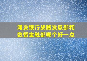 浦发银行战略发展部和数智金融部哪个好一点