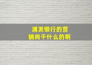 浦发银行的营销岗干什么的啊