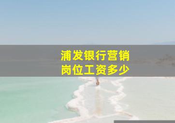 浦发银行营销岗位工资多少