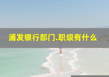 浦发银行部门.职级有什么