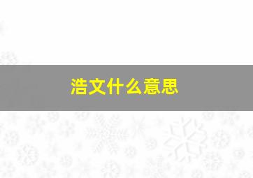 浩文什么意思