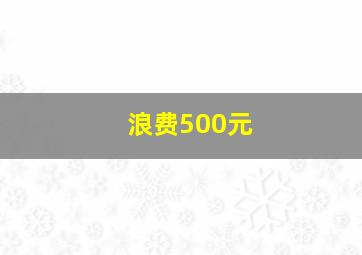 浪费500元