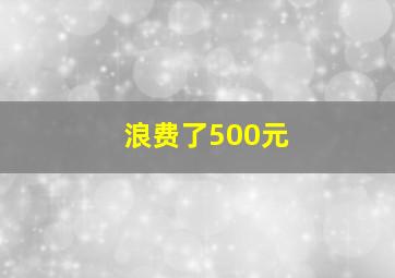 浪费了500元