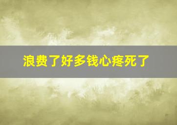 浪费了好多钱心疼死了