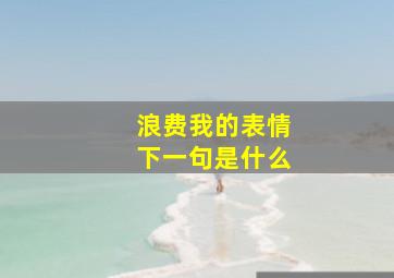 浪费我的表情下一句是什么