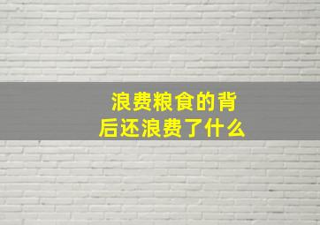 浪费粮食的背后还浪费了什么