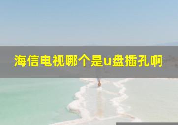 海信电视哪个是u盘插孔啊